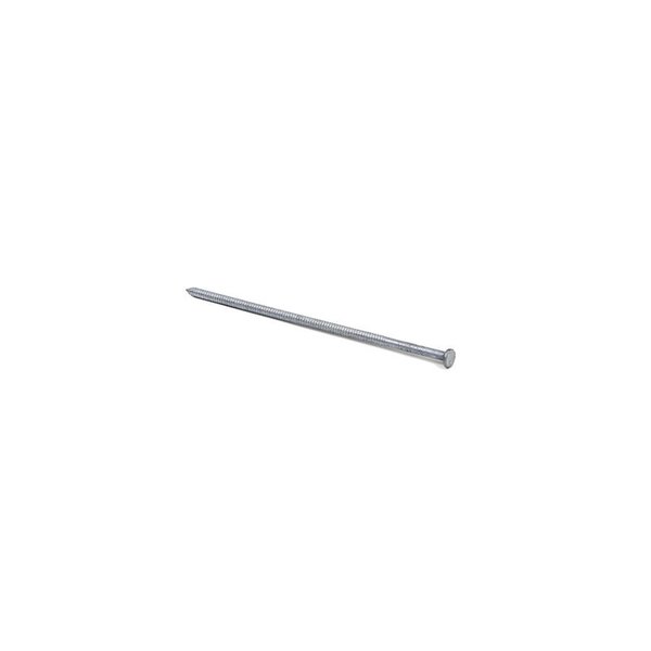 Basf Common Nail, 5 in L, 40D, Steel, Hot Dipped Galvanized Finish 40HGRSPO5